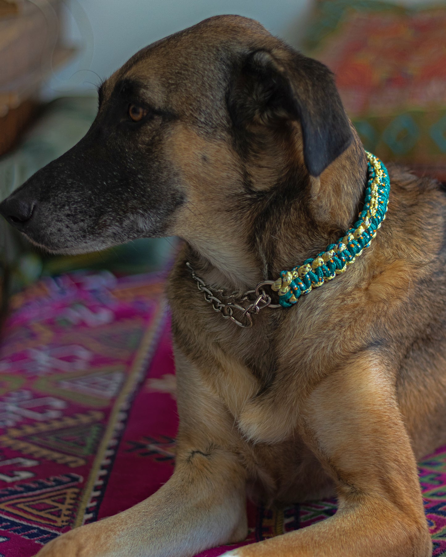Macrame Martingale Collar | Emerald & Gold