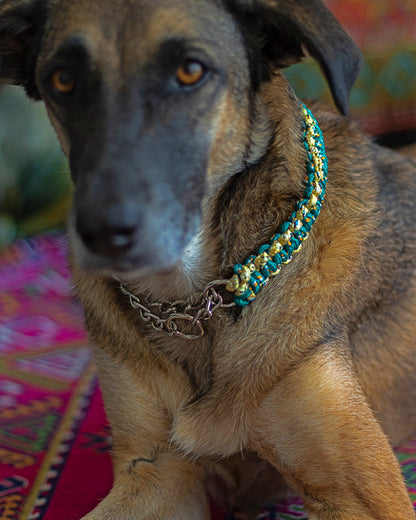 Macrame Martingale Collar | Emerald & Gold