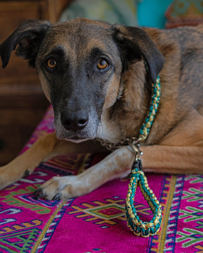 Macrame Martingale Collar | Emerald & Gold