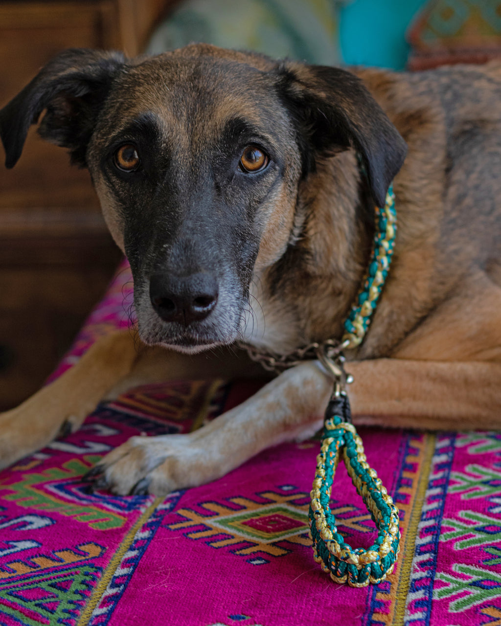 Macrame Short Leash | Emerald & Gold