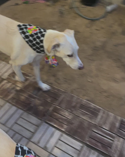 Khamsa Doggy Bandana