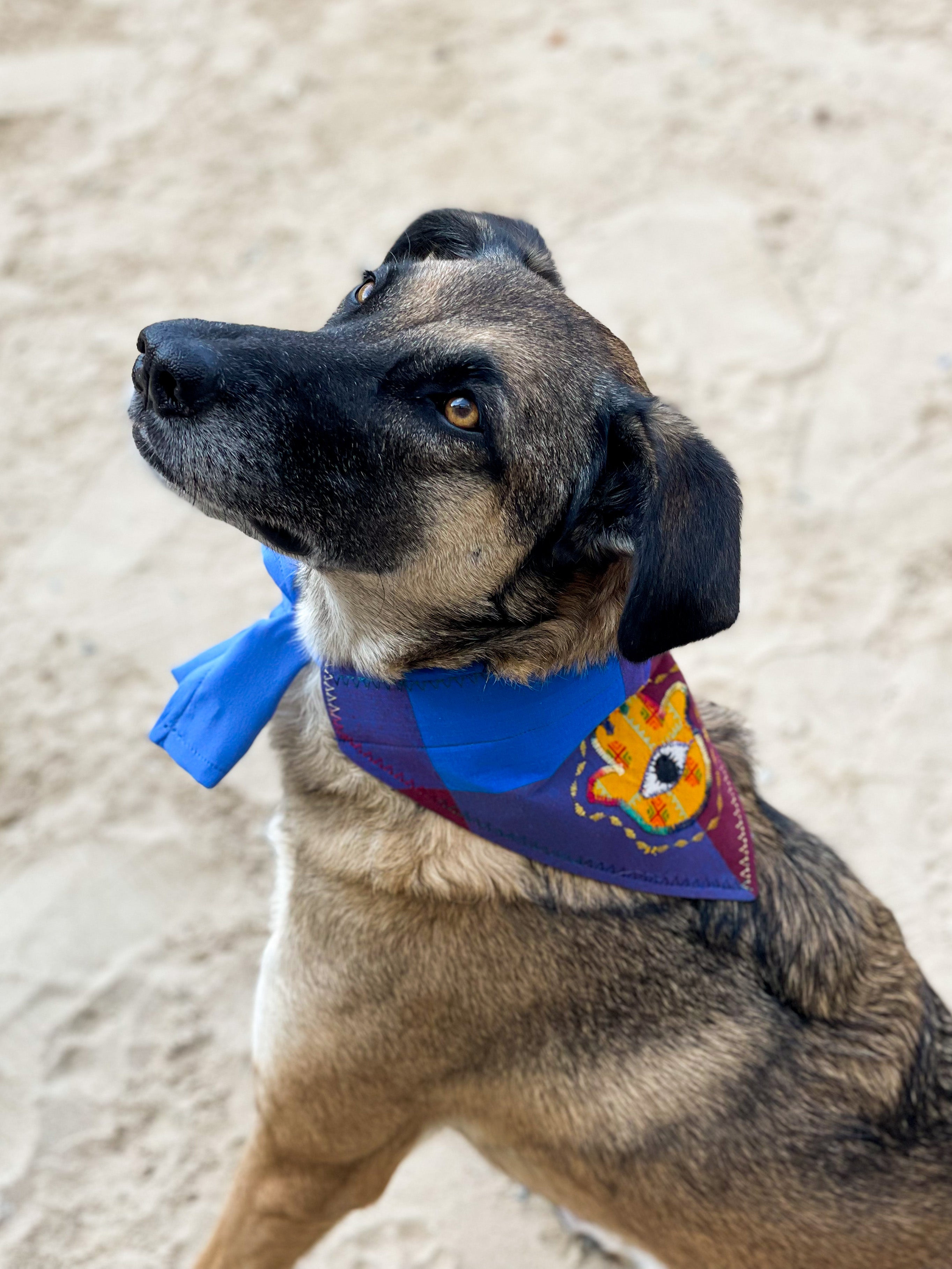 Khamsa Doggy Bandana | Blue