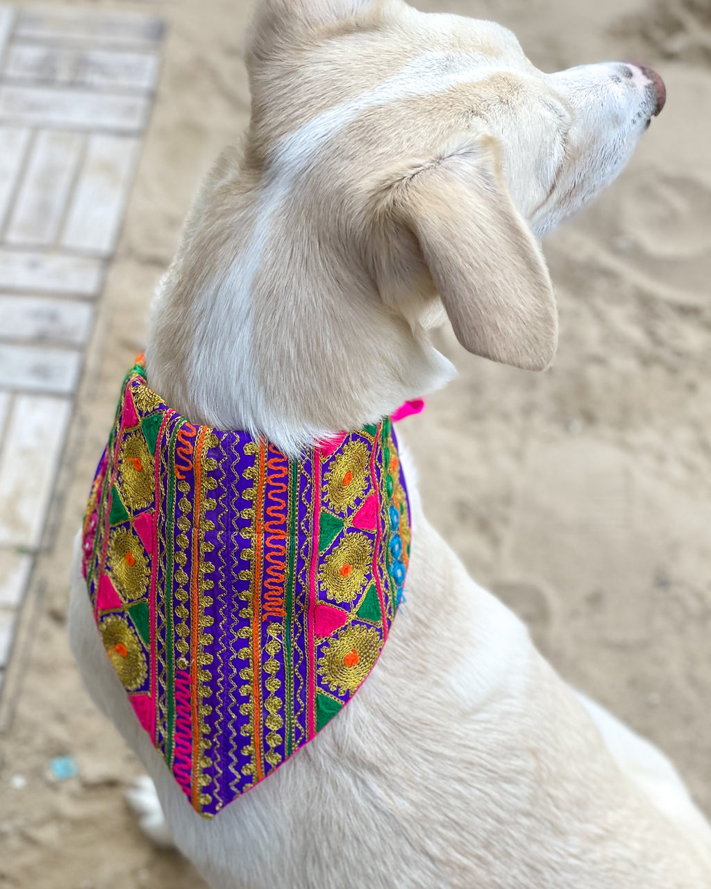 Embroidered Doggy Bandana