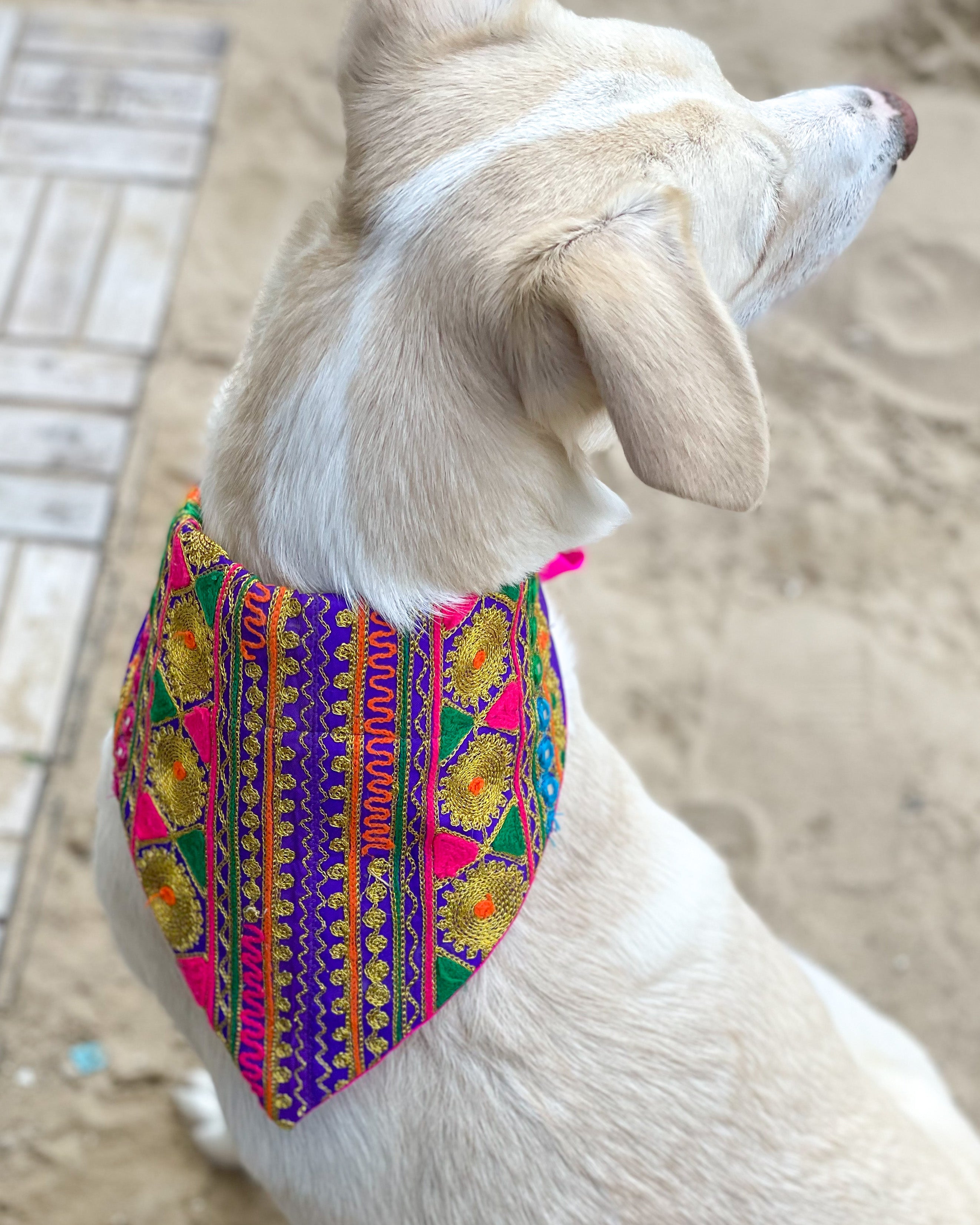 Embroidered Doggy Bandana
