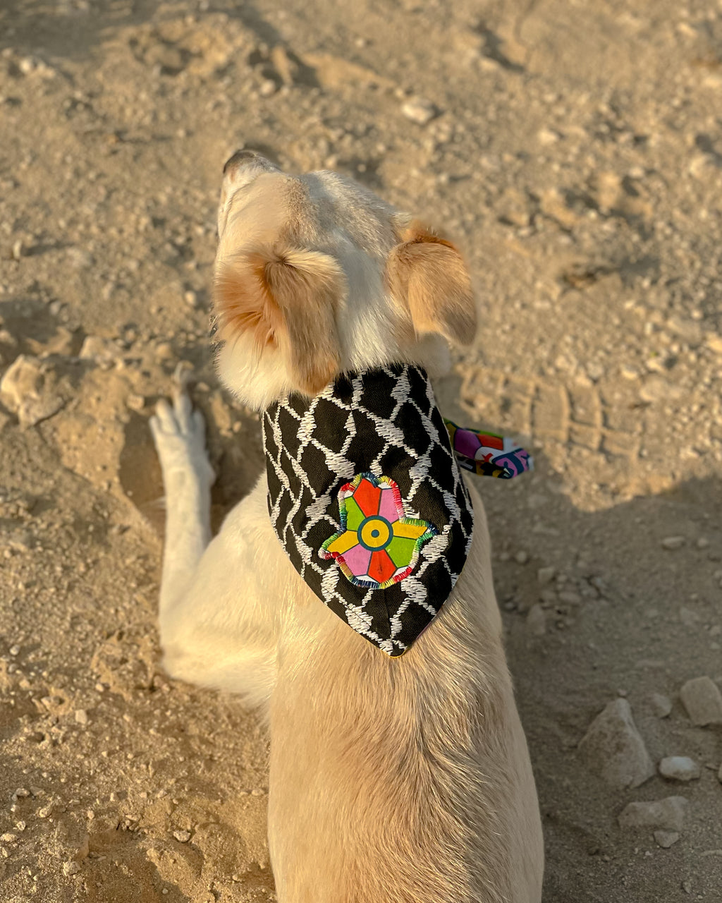 Khamsa Doggy Bandana