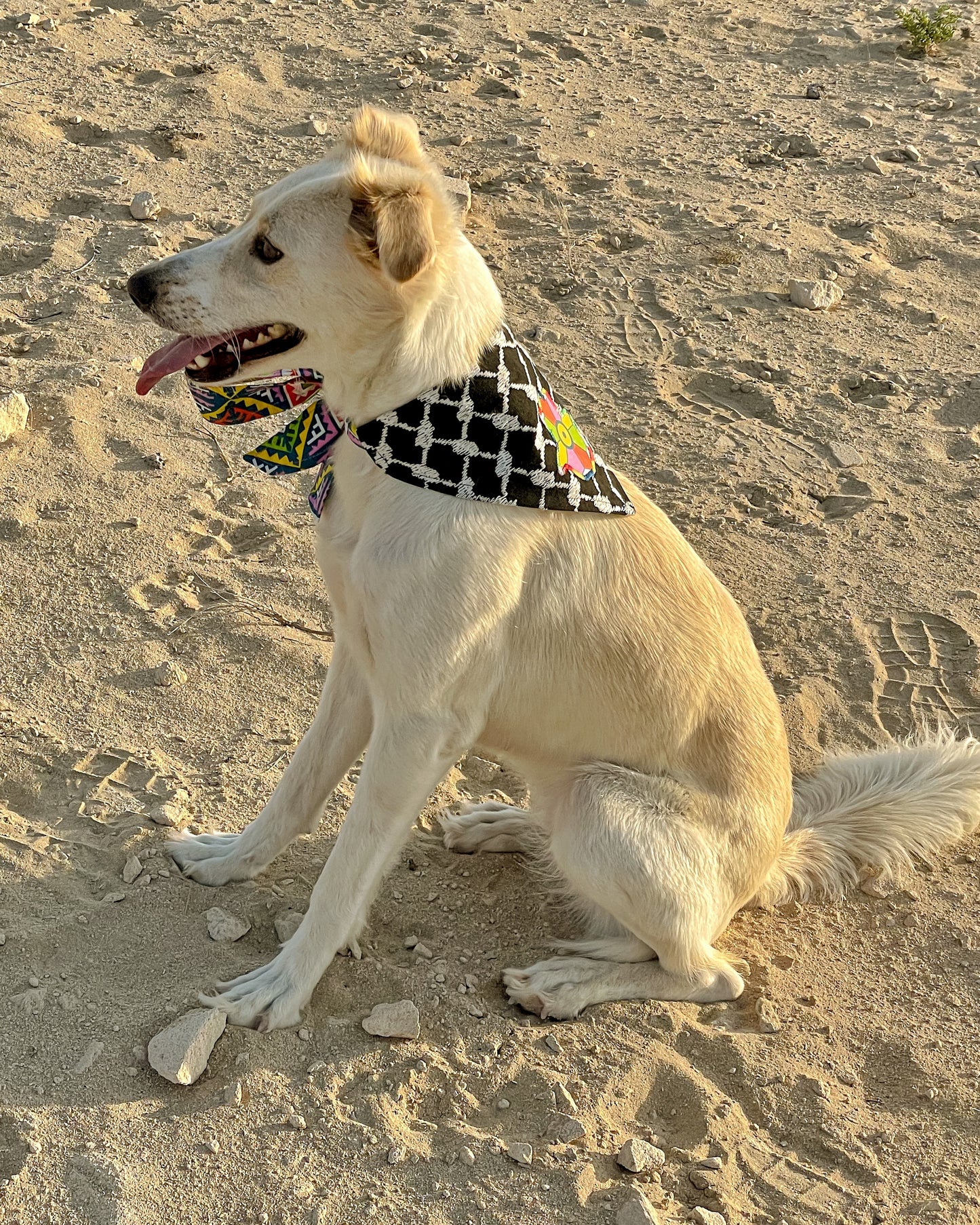Khamsa Doggy Bandana
