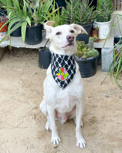Khamsa Doggy Bandana