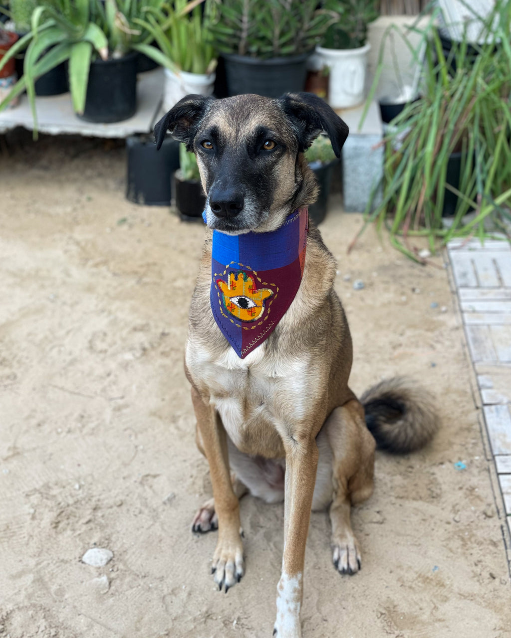 Khamsa Doggy Bandana | Blue
